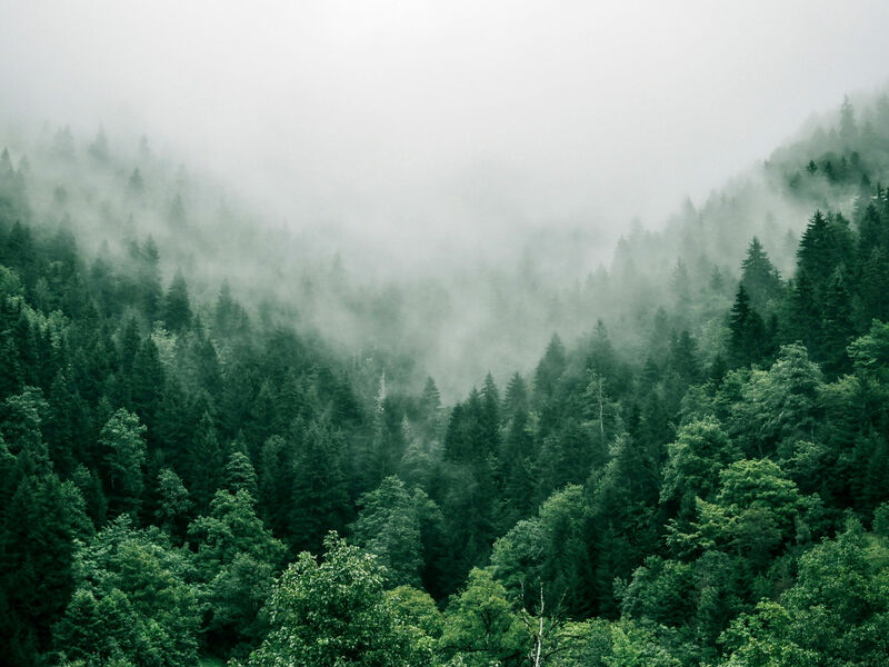 Attività Outdoor e Avventure in Trentino e sul Lago di Garda | Mmove FRIENDS OF ARCO SRL | Mmove for Nature